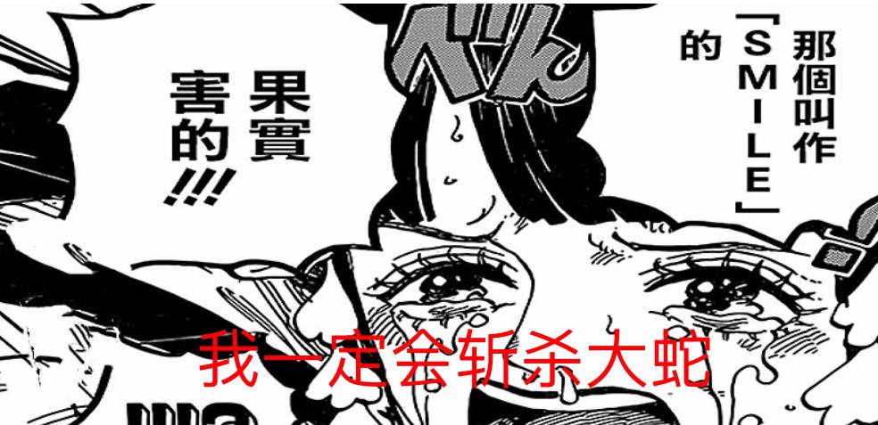 海贼王|海贼王1041话：痛快！日和终于棒打大蛇了，布琳为山治复仇