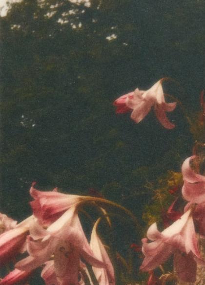 法国摄影师镜头里的“性冷淡”风，让商业摄影成为艺术大片