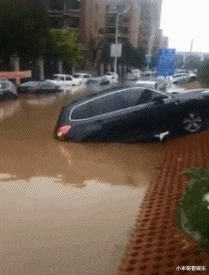 acgn漫评|“让一个动漫角色住在你家,你会选择谁?”网友的回复很真实!哈哈哈