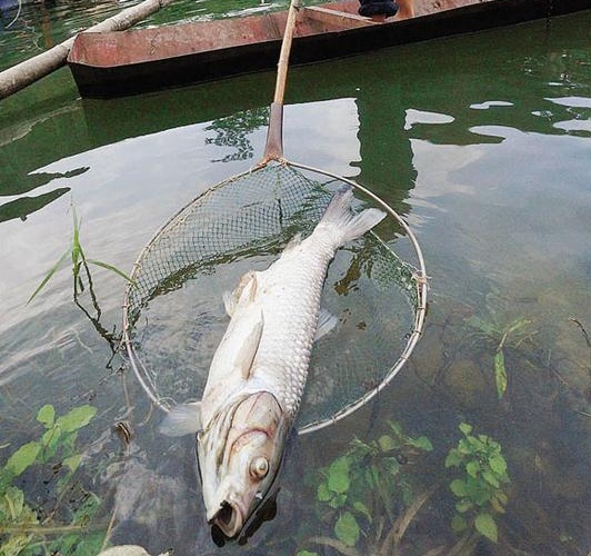 地震|钓到死鱼,别磨叽,快速速回家