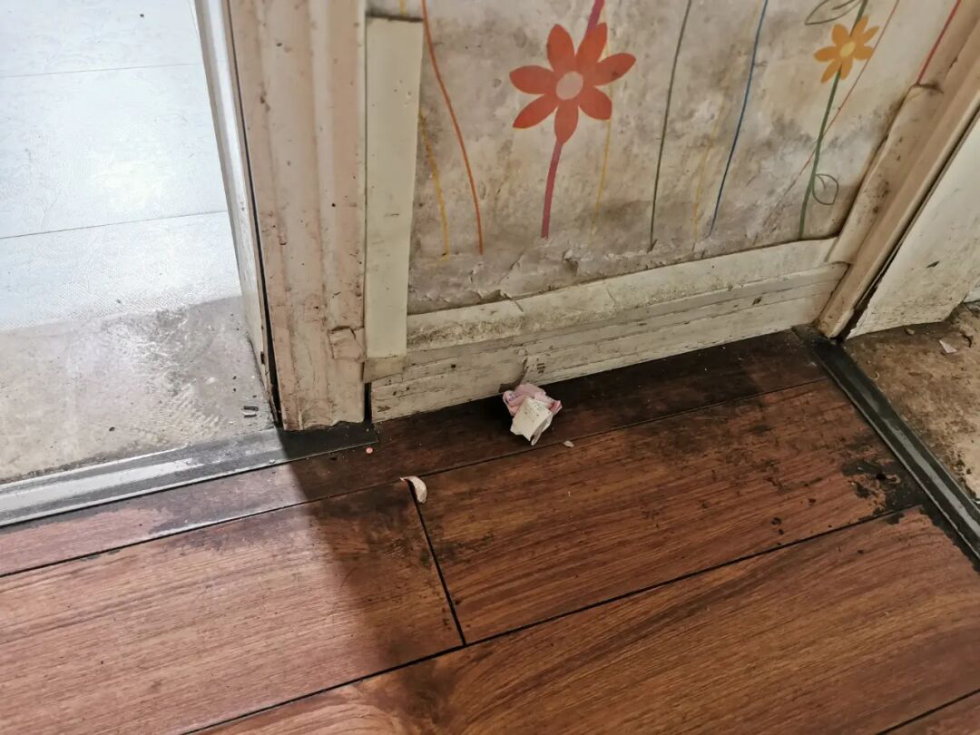 随手添置的5样“网红好物”,没想到十分好用,晒给大家看看!