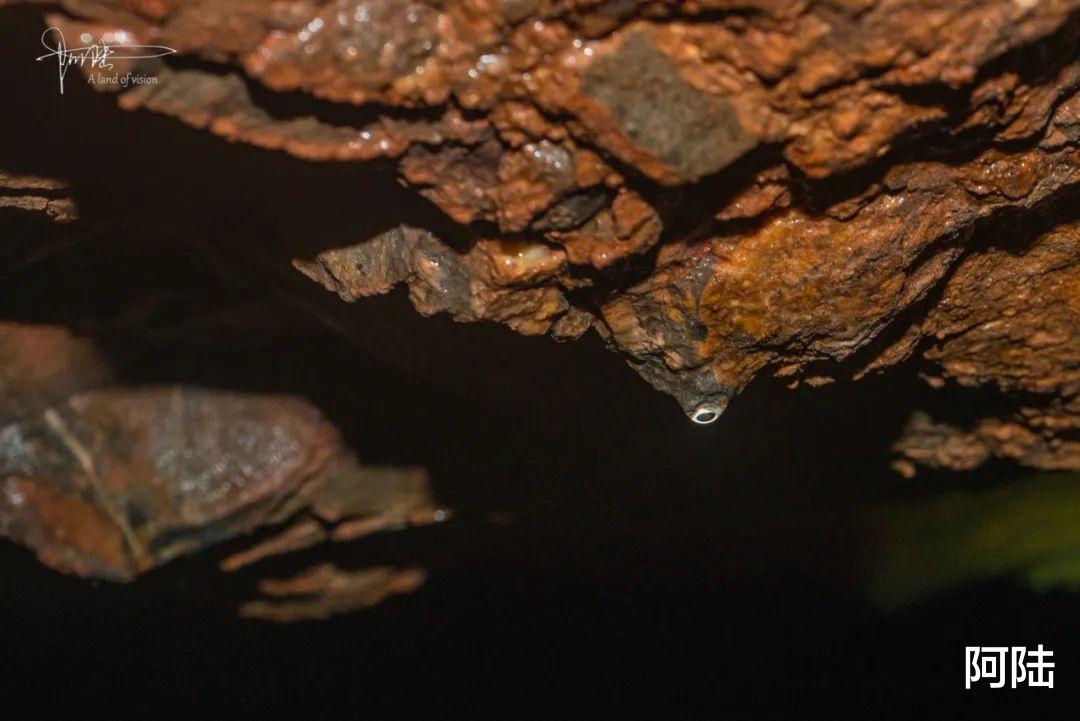 佩特拉|初探杭州千人洞,漆黑环境中的“风景”确实让人惊艳,附详细攻略