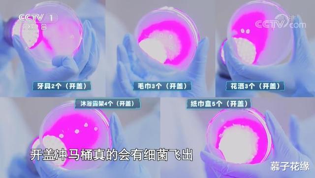 冲马桶时开着还是关着盖子?看了央视2组实验,才发现一直没做对
