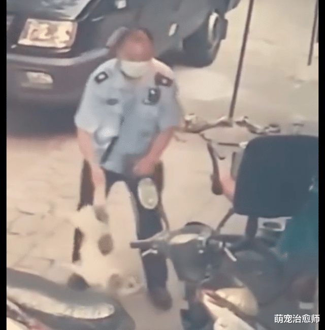 男子去别人家门口毒狗,没晕过去还拎起狗腿往地上摔,太残忍了!