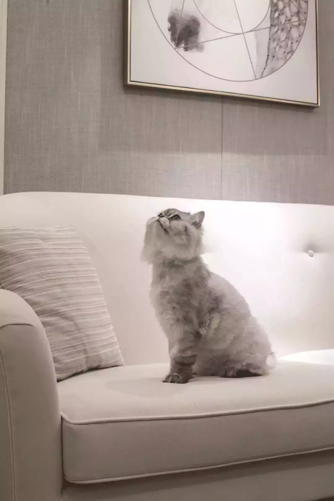 晒59㎡二手房改造，老婆非要隔出一个衣帽间，邻居看后照搬回家！