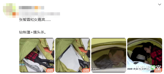张智霖|张智霖爱妻人设翻车？在综艺与女嘉宾钻帐篷摸头杀，被指全是人设
