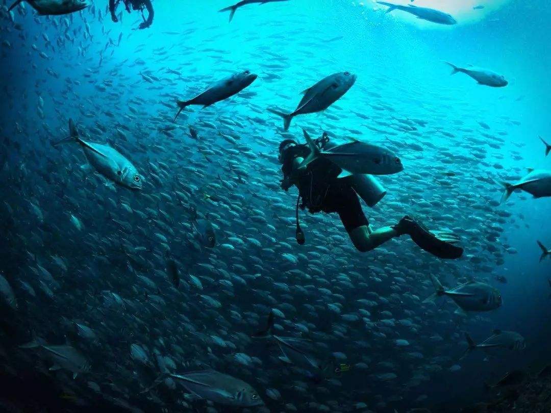 传感器|许多为水下传感器网络通信设计的协议,可以有效地将数据路由到正确的目的地