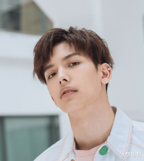 滤镜|看不懂!来内地的港台男星如此普通,竟成偶像剧新宠?这么不挑吗