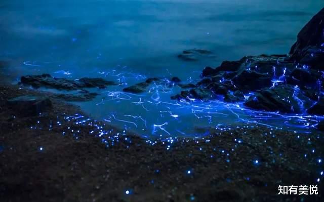 旅行|10个国内最美旅行地,收藏起来!疫情过后,来一场说走就走的旅行