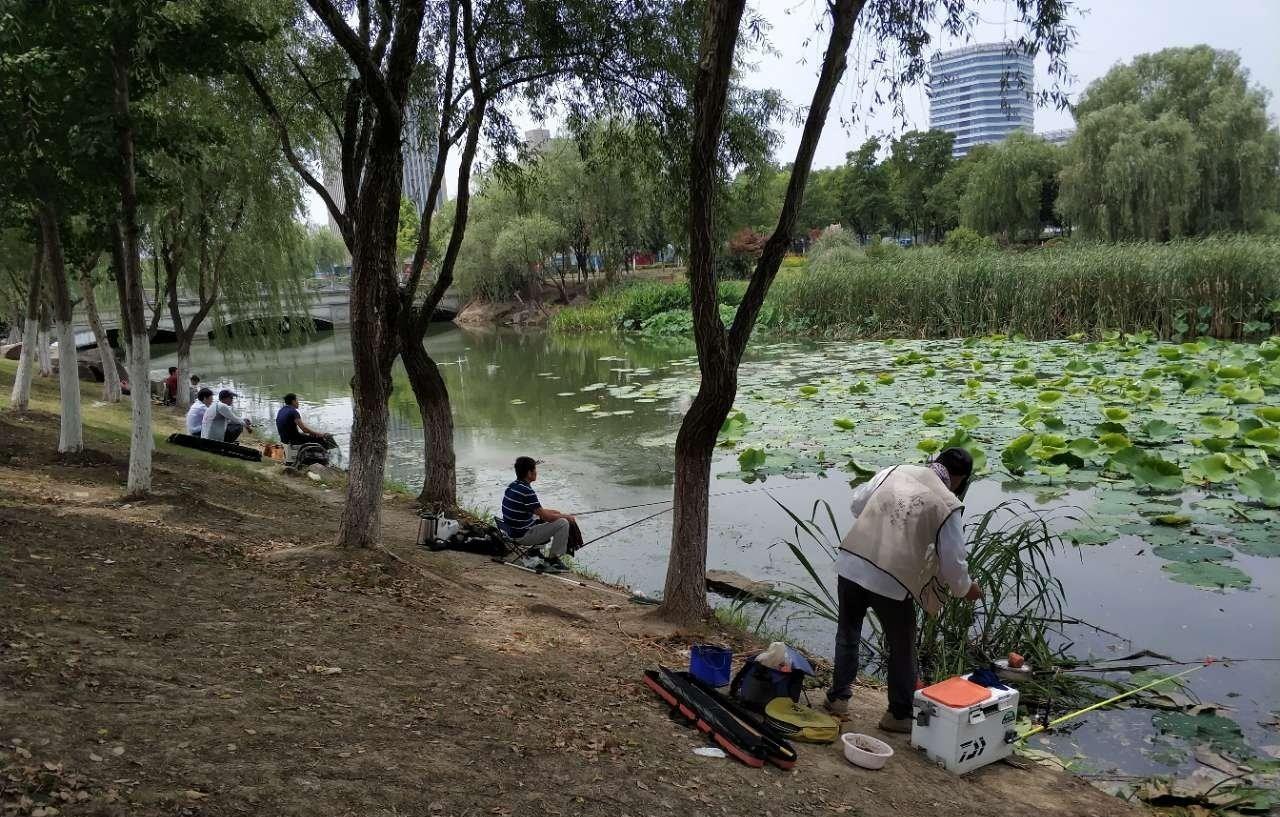 |深秋钓鱼四不宜,注意细节并规避不适用的技巧,才能提高你的渔获