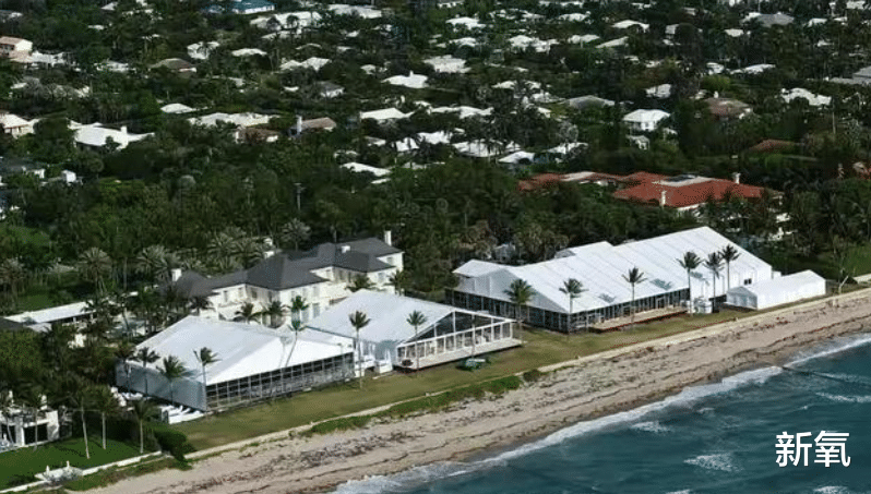 布鲁克林|百亿千金就是爽！顶级星二代也要靠内增高、厨艺争宠讨欢心