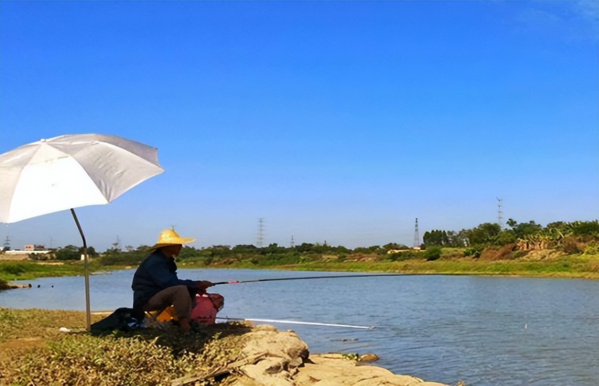 C罗|夏季垂钓，不要紧盯深水！大鱼都在这些地方“聚头”，一钓一个准