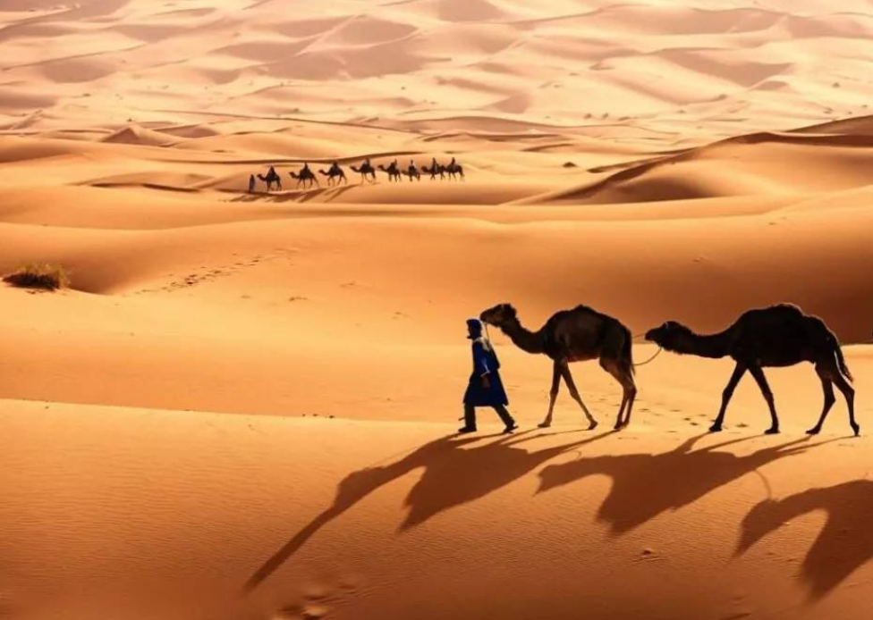 撒哈拉沙漠都下雪了！专家警告：世界“末日时钟”只剩100秒