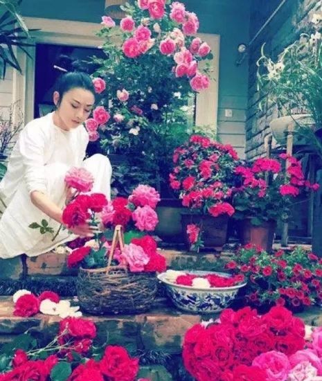 杨丽萍|63岁杨丽萍舞台出事故！遭男性扑倒表情失控，场面混乱有人大笑