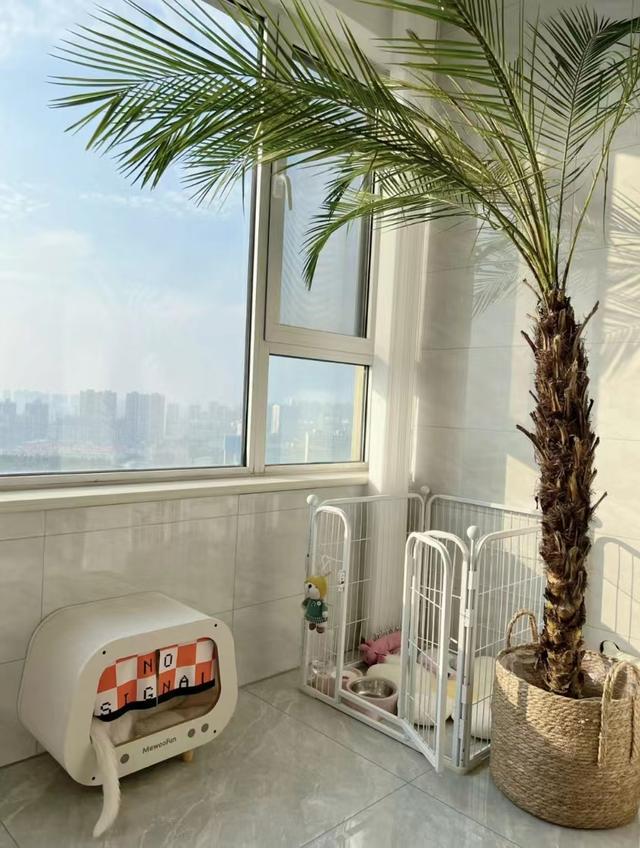 济南年轻女主家的装修,因太会布置而走红,给我10万也得这样装