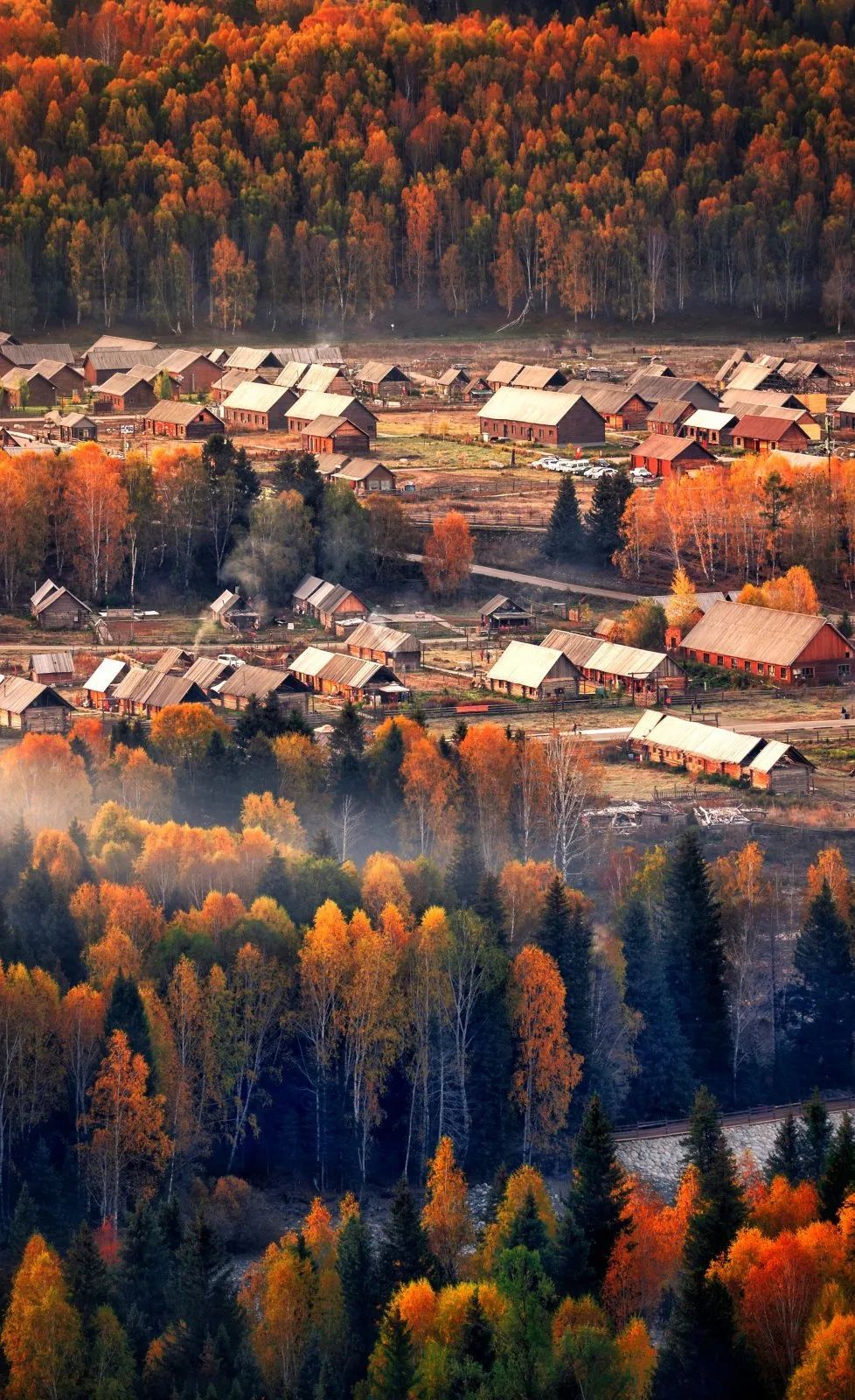 哈尔滨|跨省游终于回来了，我要去这几个地方报复性旅游