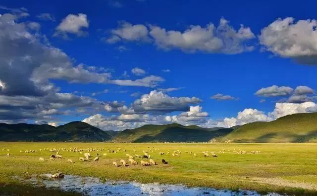 美丽|最后的秋天，最美的9个地方！错过又要苦等一年