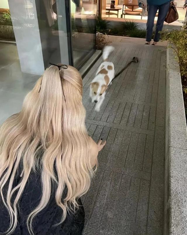 刘海 看狂飙上头，看李一桐的公主切也上头啊！