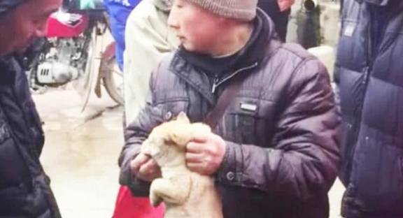 老大爷含泪卖狗,20元一条,结果遭路人冷嘲热讽,网友:火冒三丈