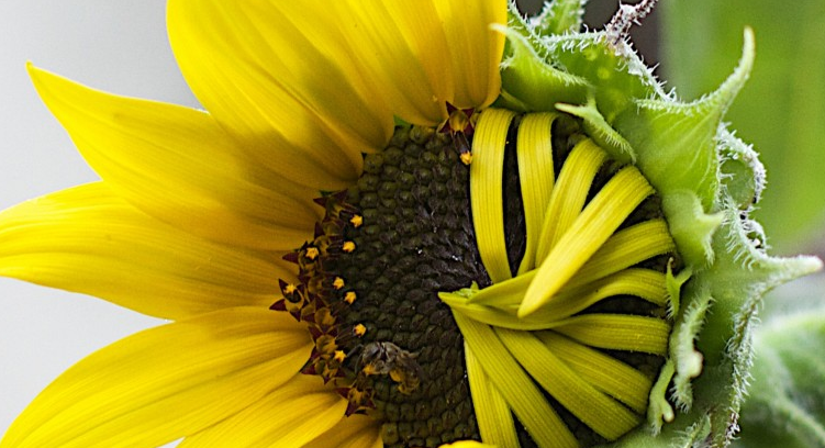 |需要你自降身价的工作，大概率是想占你便宜