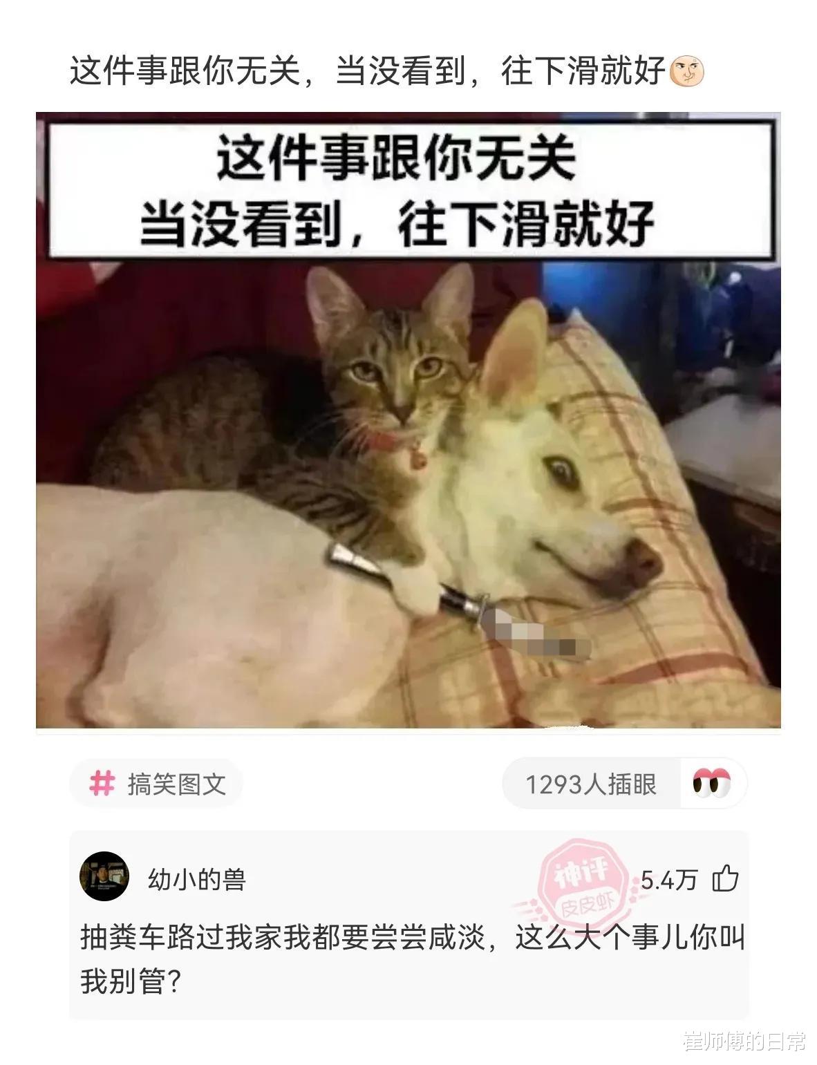 张惠妹|49岁张惠妹近照，暴瘦60斤后重回小巨蛋，一双牙签腿抢镜