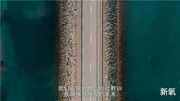 如果地球没有了人类的参与会变成什么样?