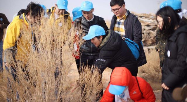 阿里巴巴|马云曾扬言要在沙漠种1亿棵树,如今5年过去,诺言实现了吗?