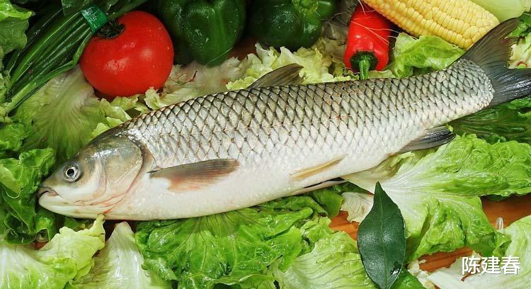 痛风|痛风患者可以食用草鱼吗?草鱼有怎样的功效以及营养价值?