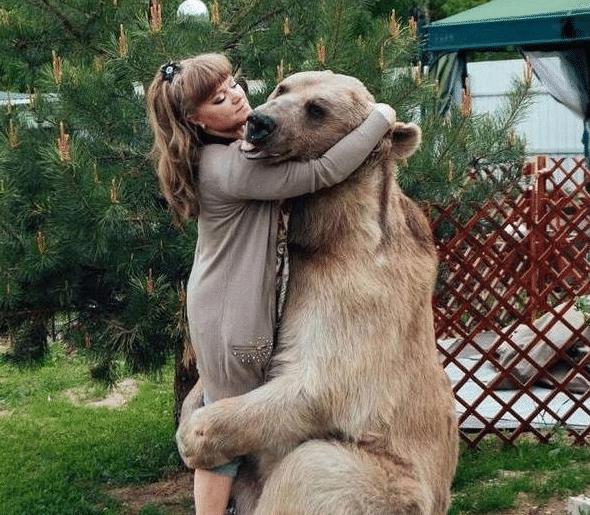 为什么俄罗斯的狗熊看起来不那么凶，甚至和人类玩得很好？