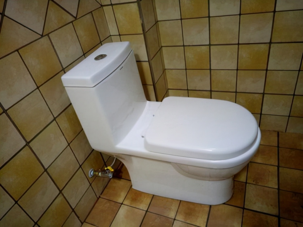 上完厕所,“马桶盖”扣上还是打开?答案来了