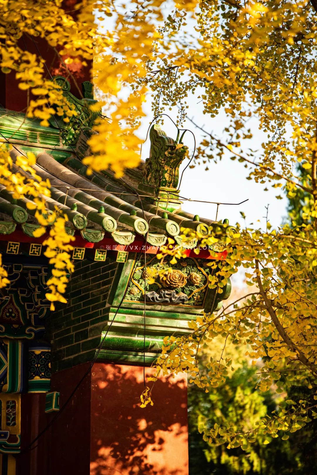 北京市|秋天的北京，有一种让人心碎的怀旧气息