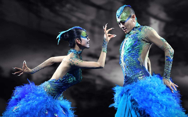 王迪|曾与杨丽萍春晚共舞,44岁舞蹈家王迪跳楼身亡,原因让人痛心