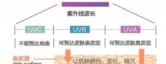 防晒 韩国女生为什么都是“冷白皮”？坚持5个好习惯，肌肤会焕白通透