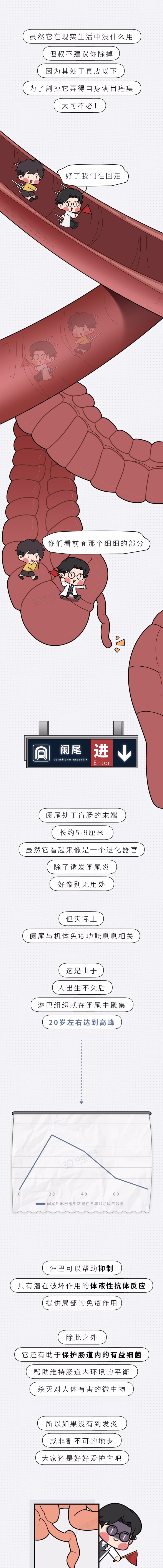 医生|人体有6个“无用器官”,拿掉也不会死,真的吗?身体会有变化