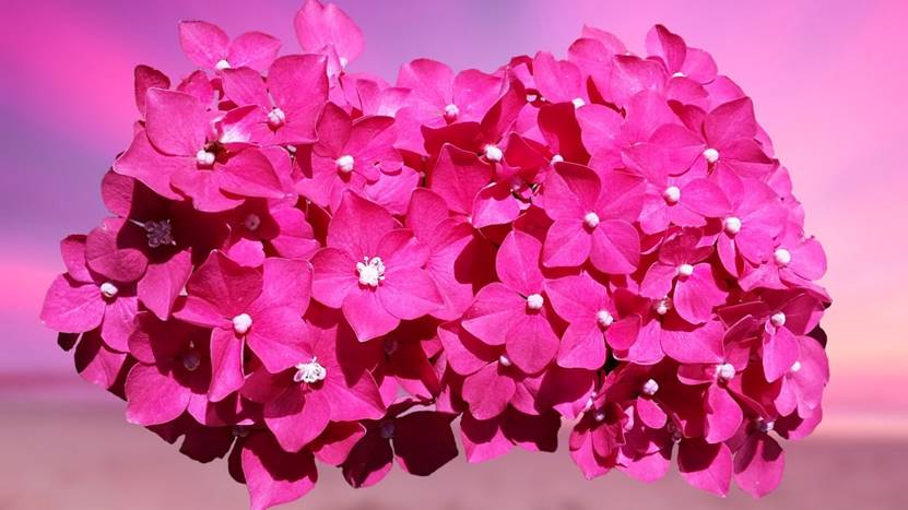 山药|午后困倦是什么原因造成的?