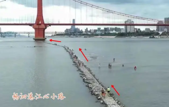 长江|长江有多渴? 七旬老人称从未见过如此旱情, 有关部门: 11月不会好转