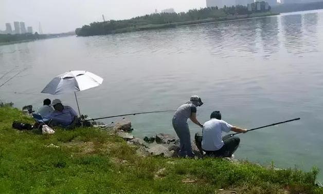 |渔乐杂谈:秋末冬初温度降低,钓浅水还是钓深水?