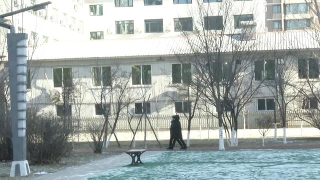 二十四节气|二十四节气之大雪