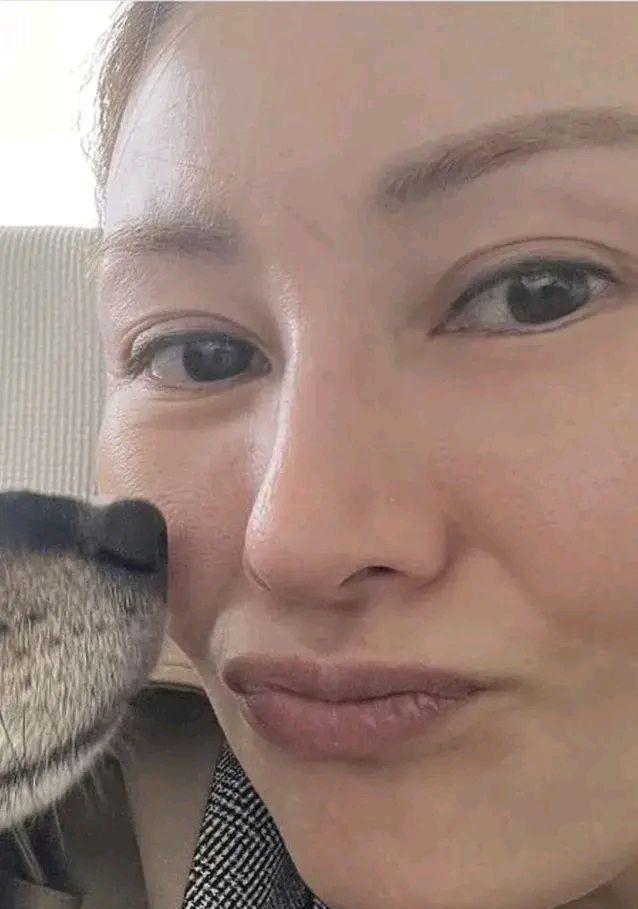 金城武|李嘉欣素颜一般般?金城武投诉空姐?林峯又许下承诺了?