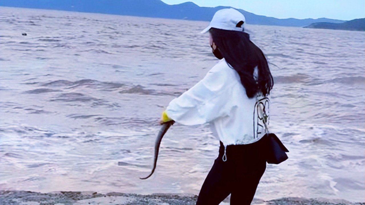 舟山|女子海边捡了条鱼放生，被钓鱼人要求赔偿400元，到底怎么回事？