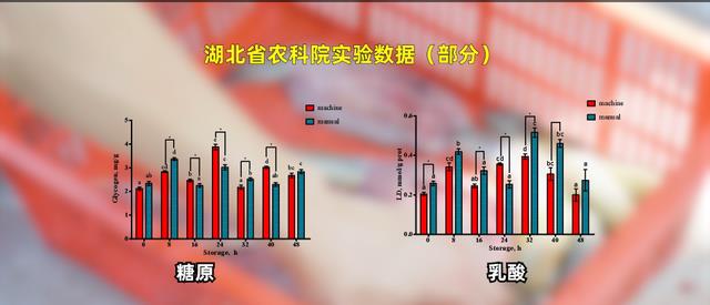 荆州制造的“杀鱼神器”,菜场餐馆值得拥有!