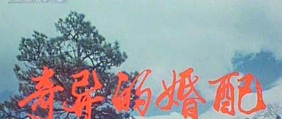 最奇特的杀夫案,丈夫与妻子都很奇葩