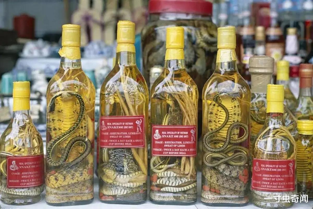 婴儿|毒蛇泡在酒中几年,为啥还能复活咬死人?蛇体内寄生虫能被泡死吗
