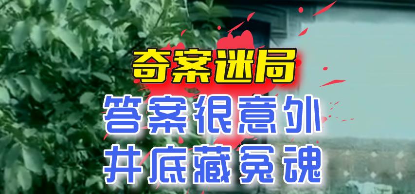 2011年,河北“儿媳杀婆”奇案迷局:答案很意外,井底藏冤魂!