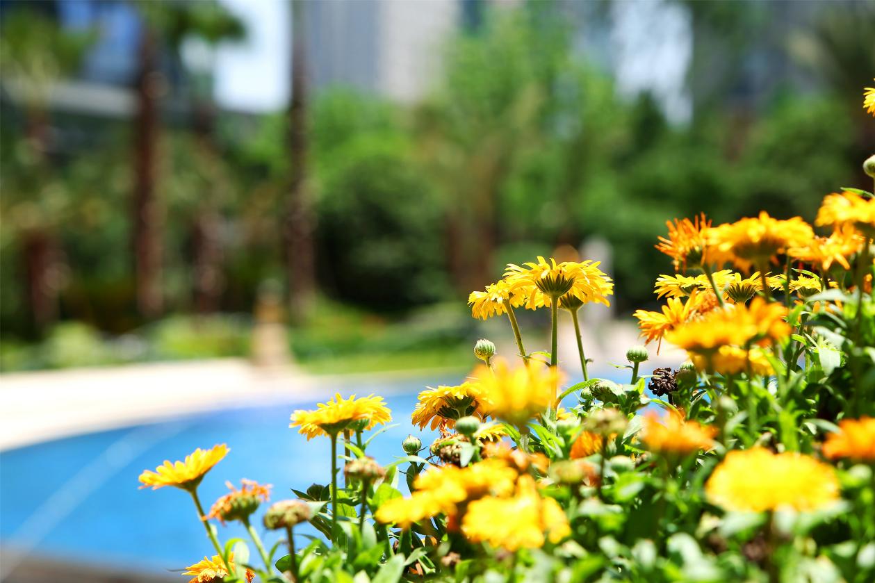 商品房|纯滨江造,一份给“滨粉”的满意答卷