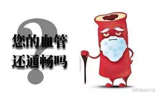 饮食|血管是怎样老化的?导致血管老化的5大原因,你了解几个