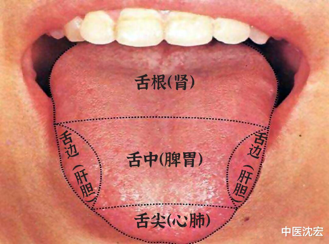 伤肾|舌头是人体自带体检表,舌头出现这些信号,赶快去医院