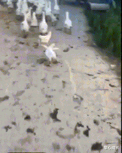 发型 事实证明，多帅的发型都弥补不了颜值的差距！太扎心....