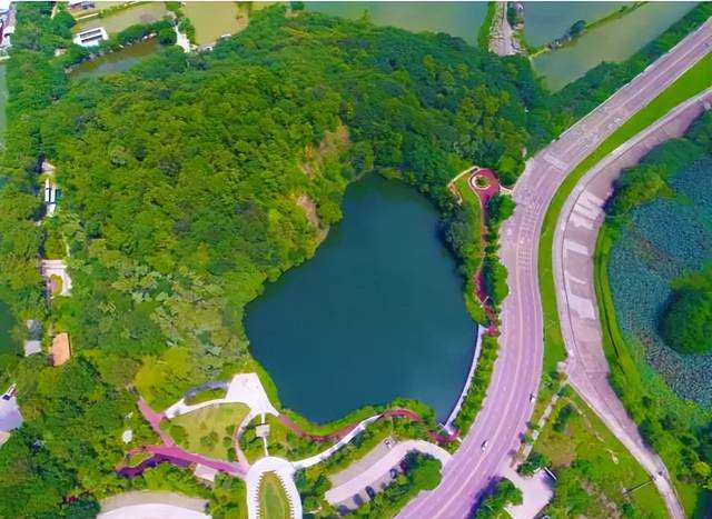 佛山|徒步、骑行、足球、赛狮、龙舟…,新春就在佛山过个健康年