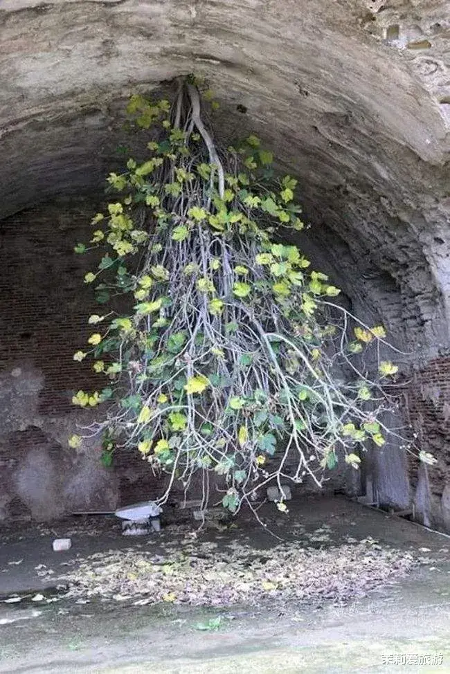 美丽|62幅奇观美景，各具特色，饱眼福了